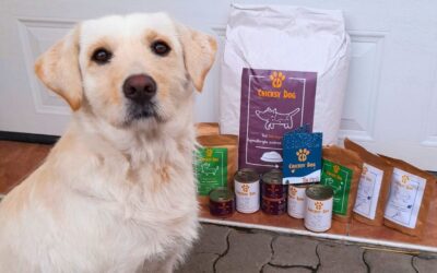 Produsele Twinky și Chloé în vacanță – la ce să fii atent?