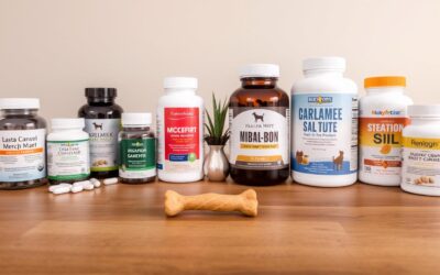 Cum folosești vitaminele pentru câini la schimbarea anotimpurilor? Sfaturi pro pentru stăpâni