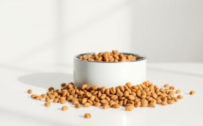 CricksyCat fără pui vs hrană hipoalergenică – ce alegem?