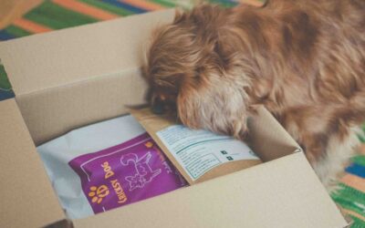 Efecte pe termen lung ale hranei Juliet cu miel