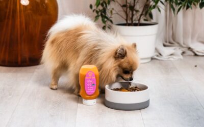 Ce faci dacă câinele tău acceptă doar hrana cu toppingul Mr. Easy vegan premium CricksyDog?