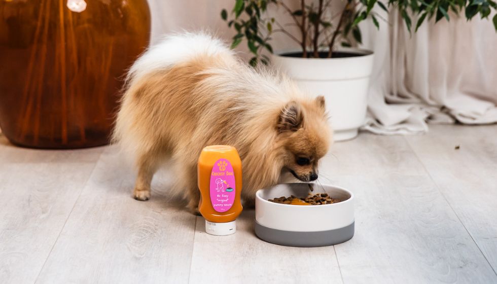Ce faci dacă câinele tău acceptă doar hrana cu toppingul Mr. Easy vegan premium CricksyDog?