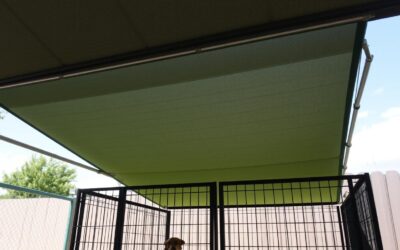 Trucuri pentru umbrirea cuștii câinelui vara?