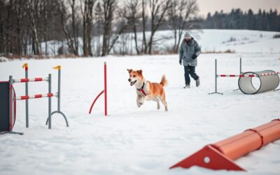 Nevoia de mișcare a câinilor în vreme rece – cum se modifică?