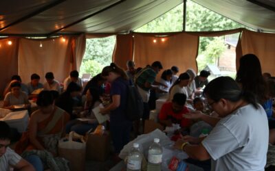 Pericolele verii în adăposturi – cum poți ajuta?