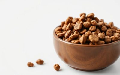 Blog 17 Hrană pentru câini cu proteină din insecte: doar marketing sau avantaj real?