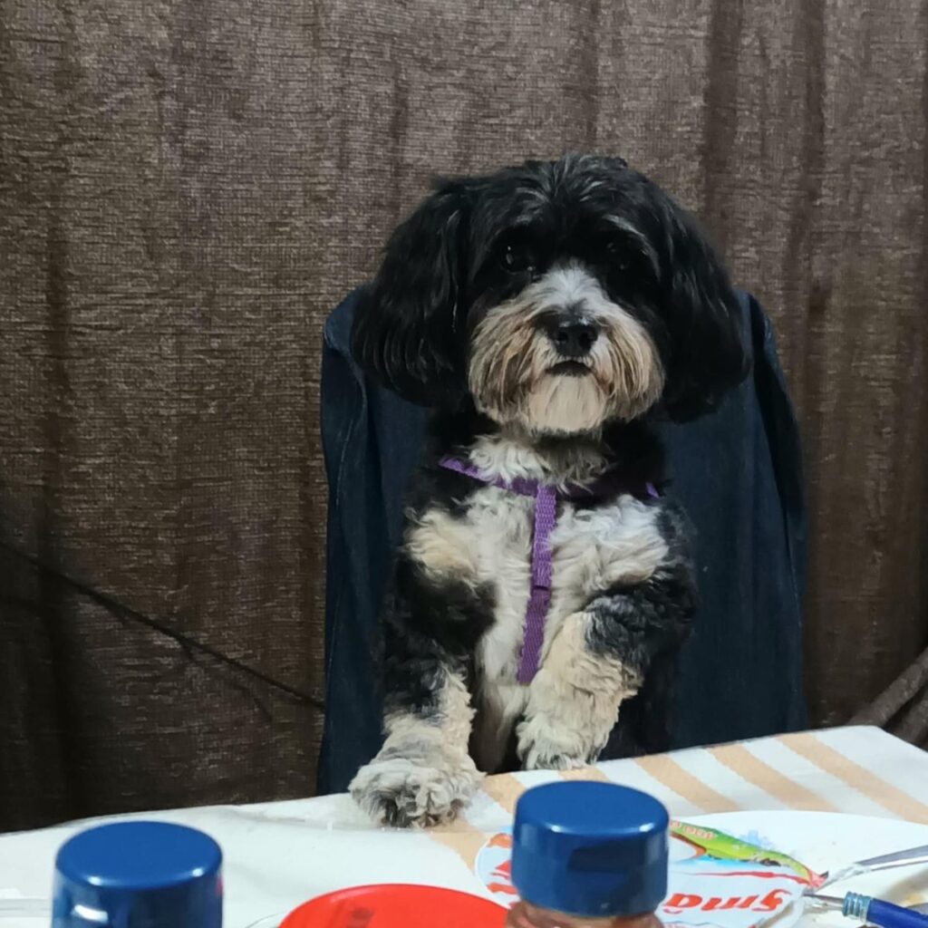 Image #1 from Nistor Luminita