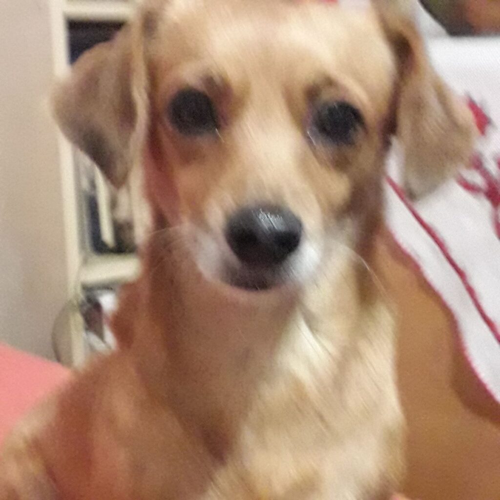 Image #1 from Mihai C.