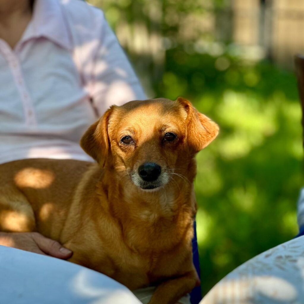 Image #1 from Mihai C.