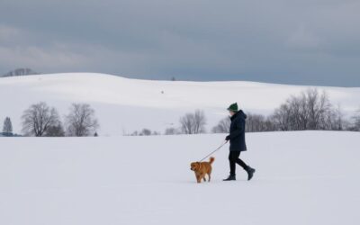 Sfaturi pentru plimbările de iarnă ale câinelui – Tot ce trebuie să știi despre asta!