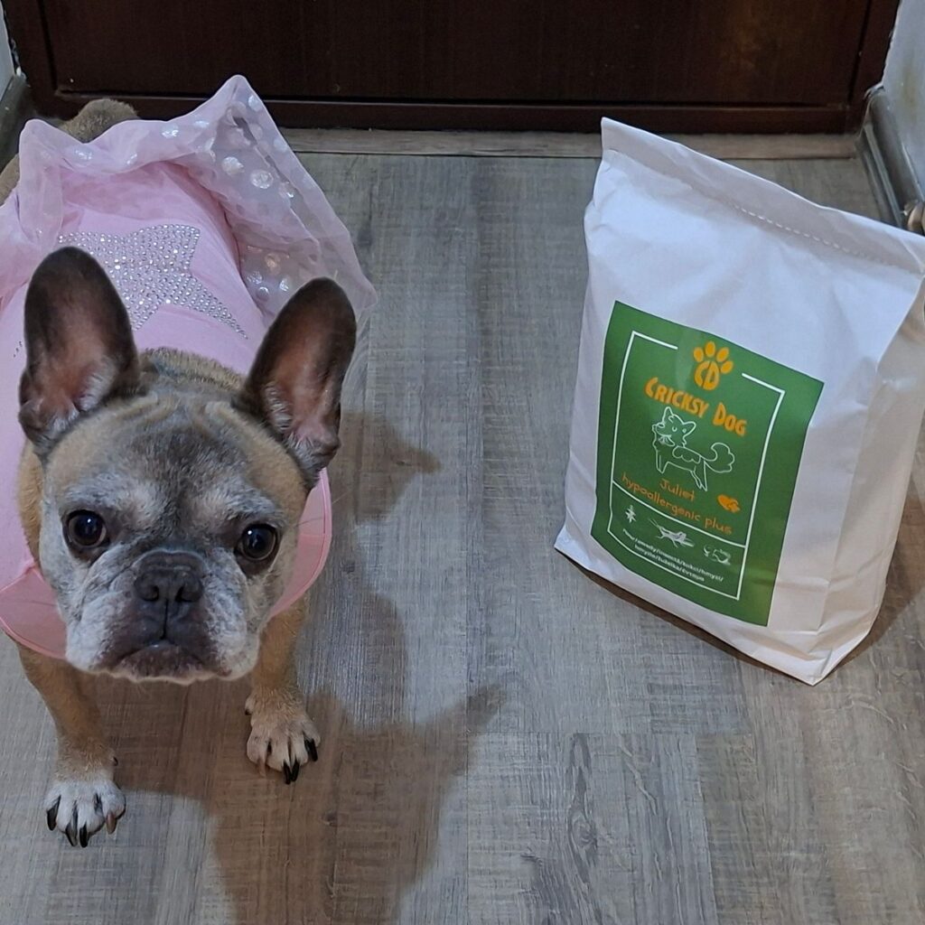 Image #2 from Lobontiu A.