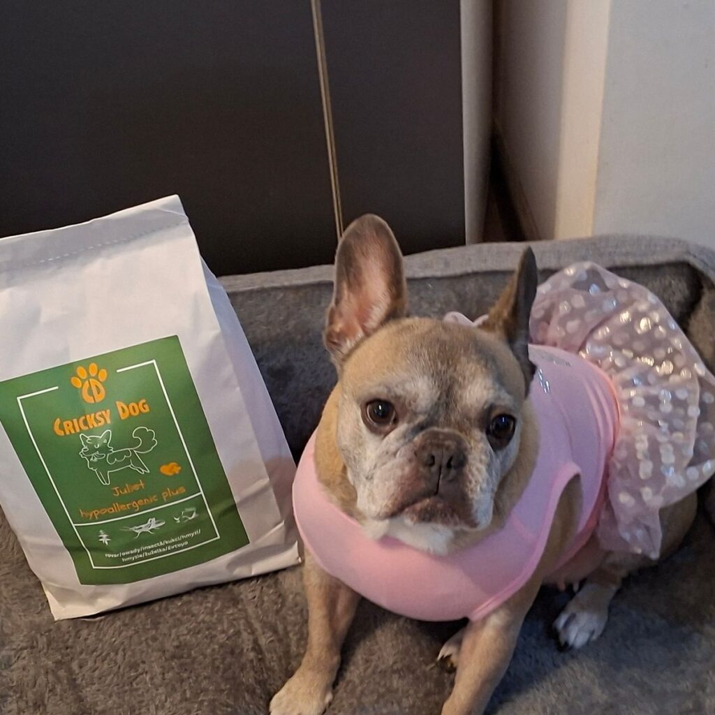 Image #2 from Lobontiu A.