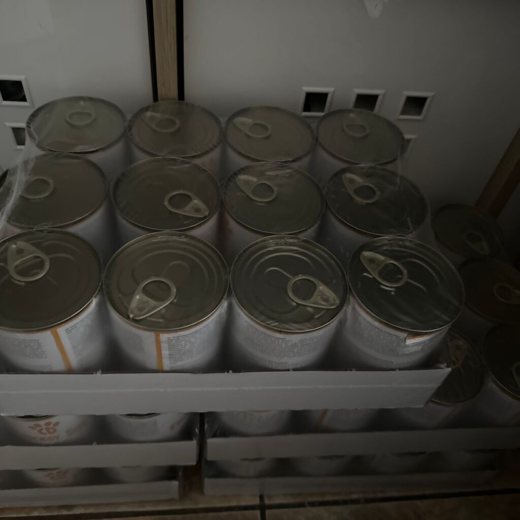 Image #1 from Mirea Rodica Ana