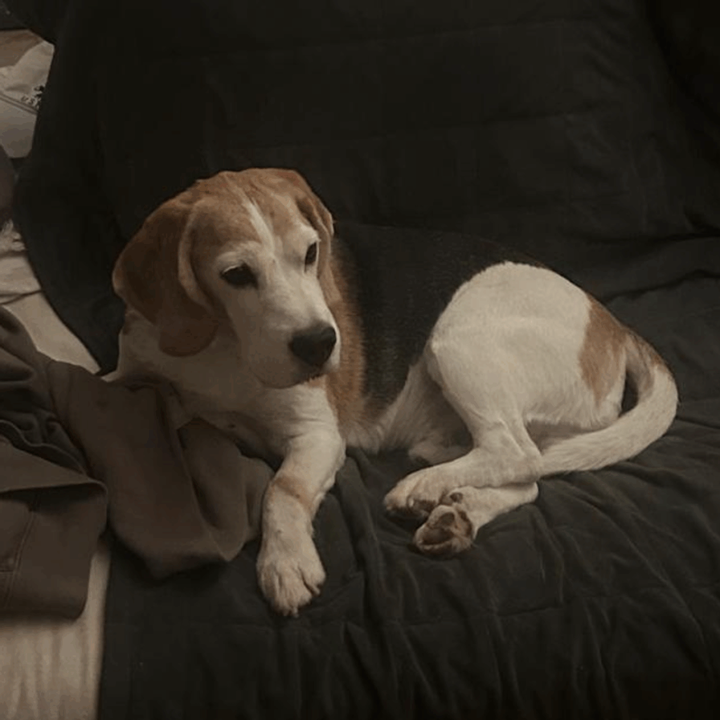 Image #1 from Sirbu Ioana