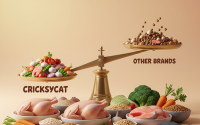 Proporția ingredientelor naturale – comparație între CricksyCat și alte mărci