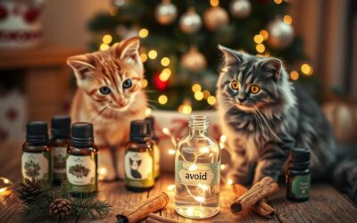 Blog pentru pisici 16 Pisici și uleiurile esențiale de Crăciun – pe care e mai bine să le eviți