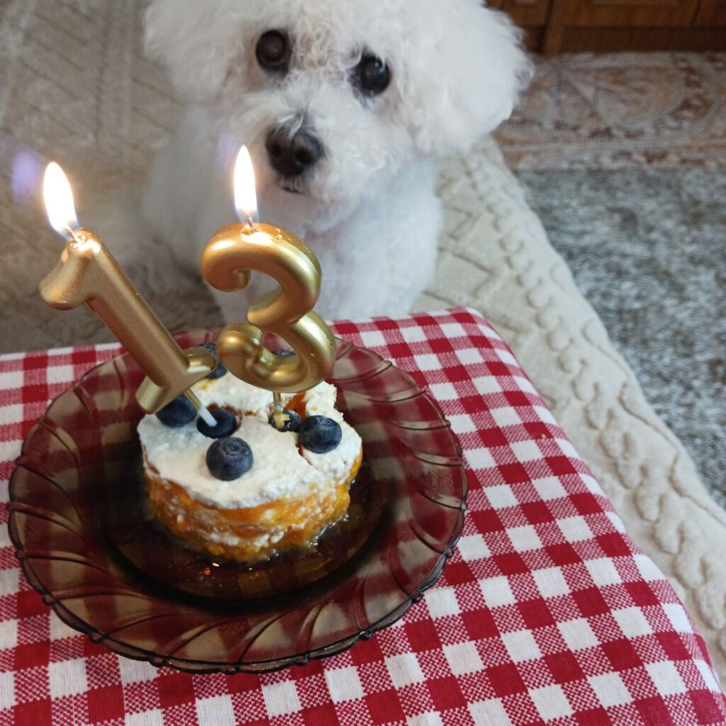 Image #1 from Dorina Puscas Puscas