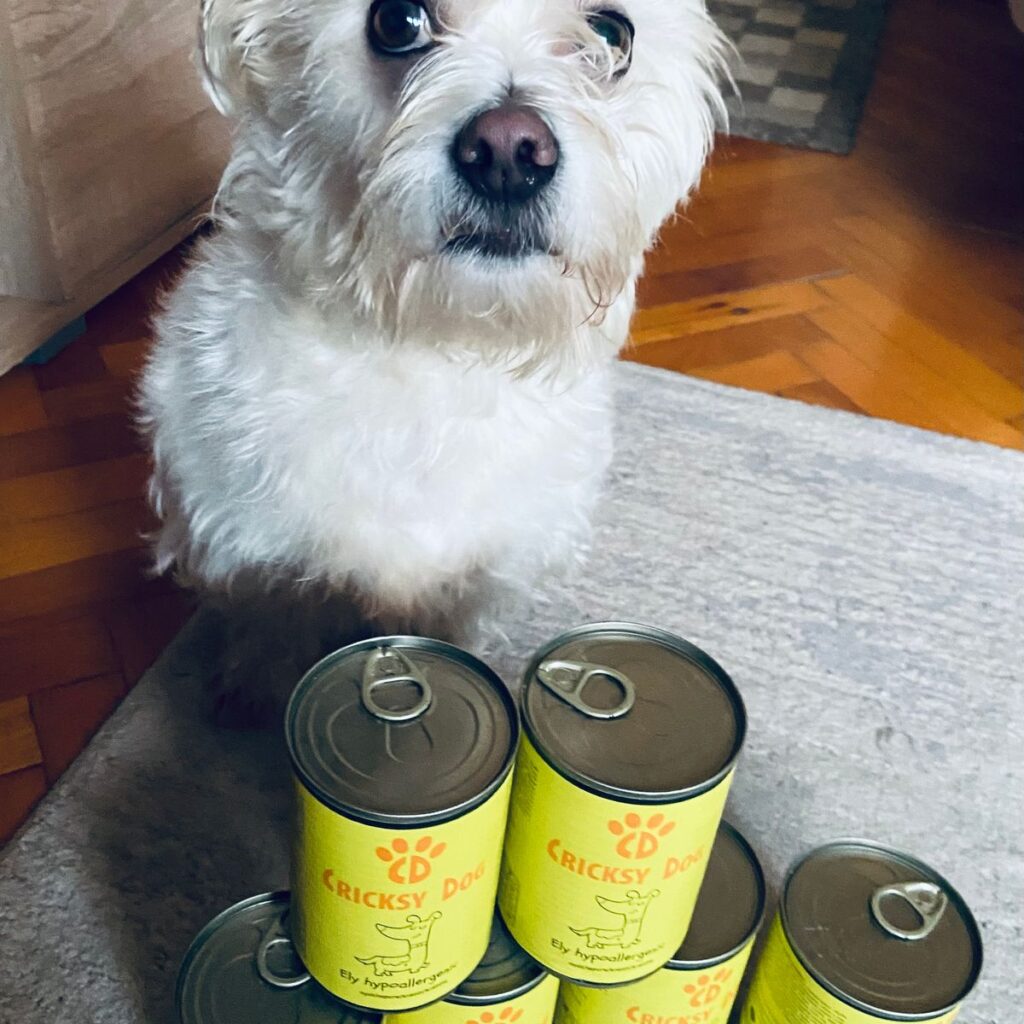 Câinii de Companie 334 Image #1 from Reka