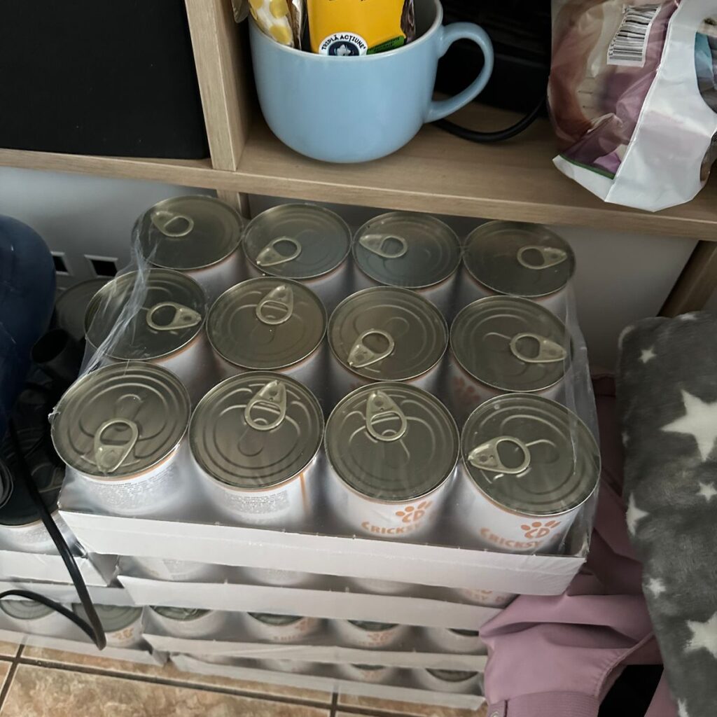 Image #1 from Mirea Rodica