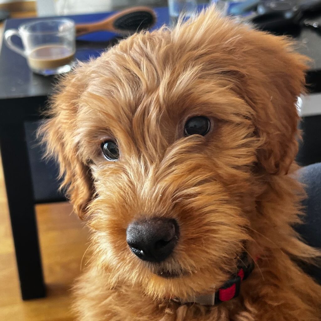 Image #1 from Nicolae Bogdan