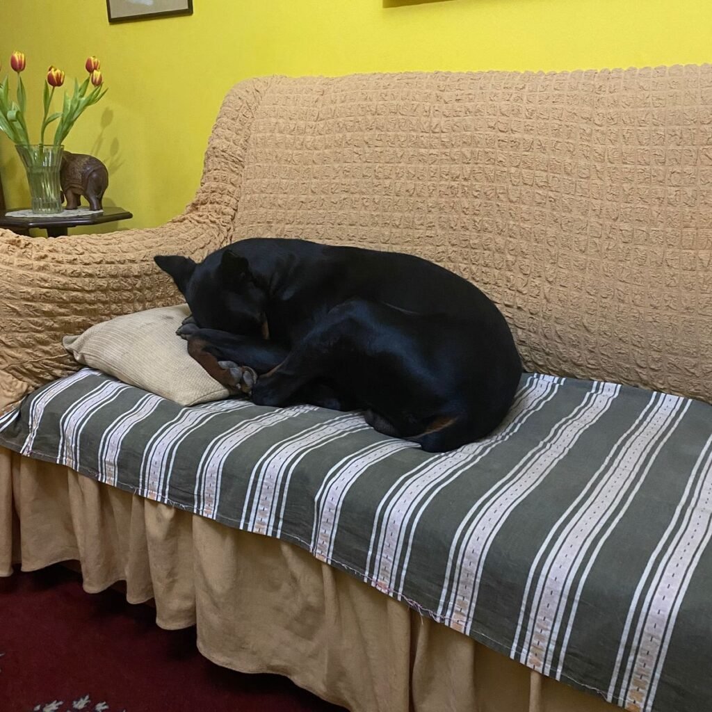 Image #1 from janos boldizsar