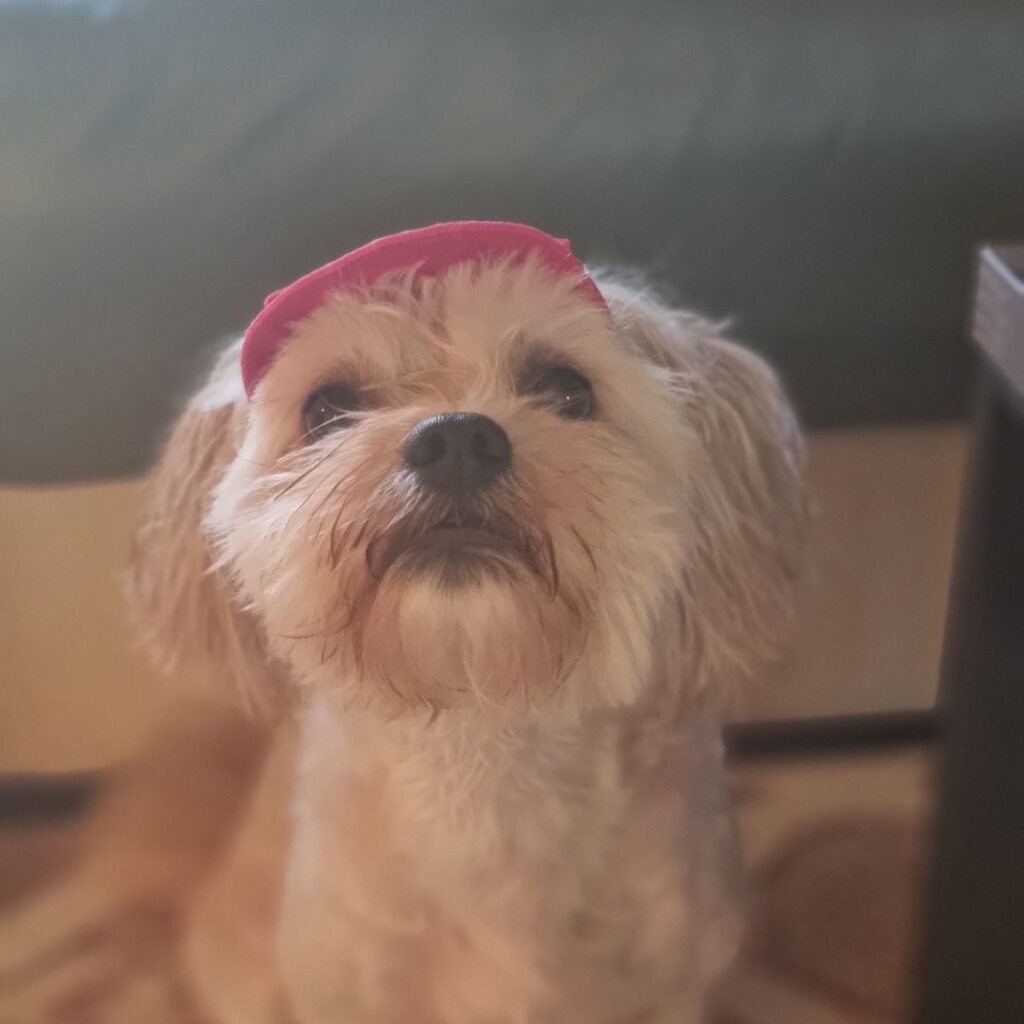 Image #2 from Maria Magdalena Bobocea