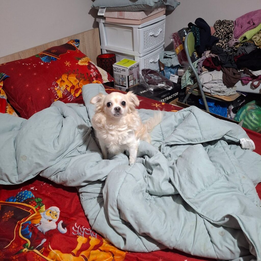 Image #1 from Stere Florina