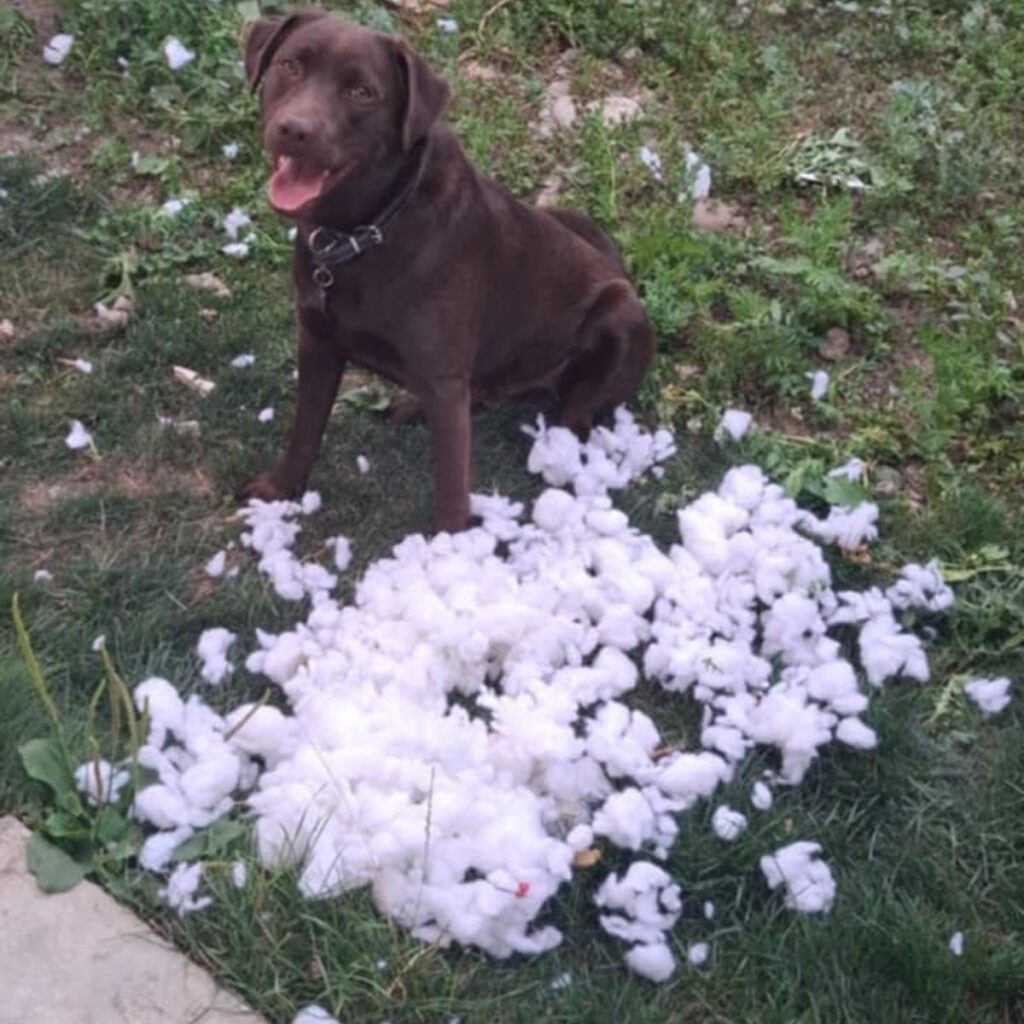 Image #1 from Mihaela Girbo