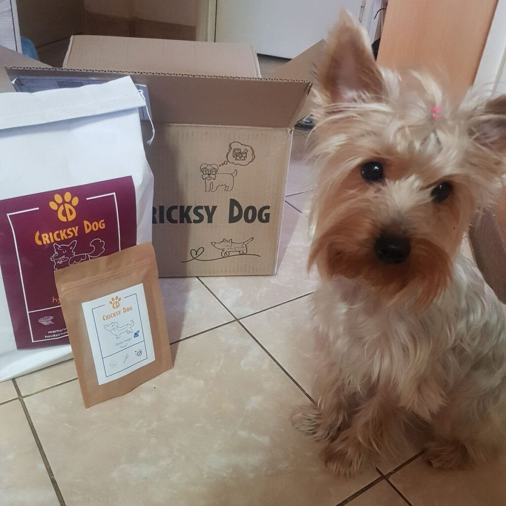 Image #1 from Claudia-Kinga