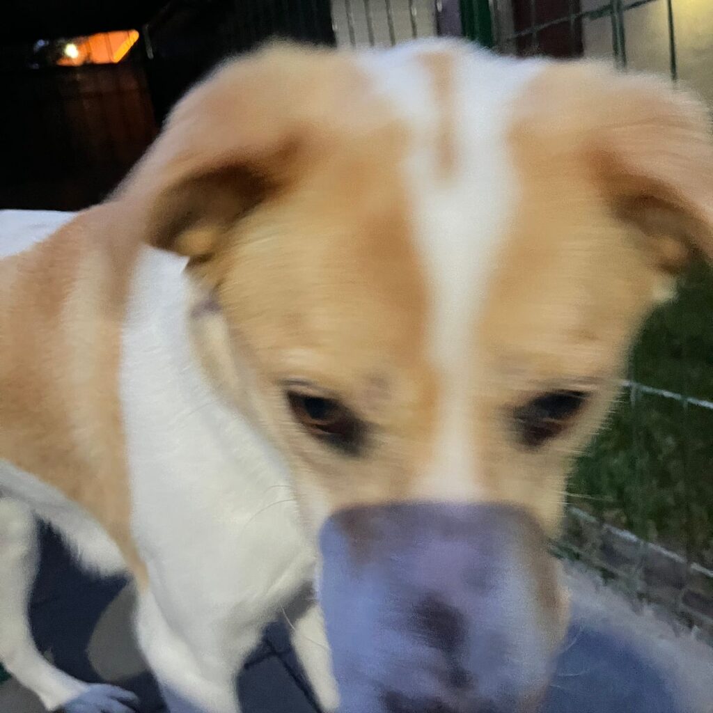 Image #1 from Munteanu Florentina Florentina