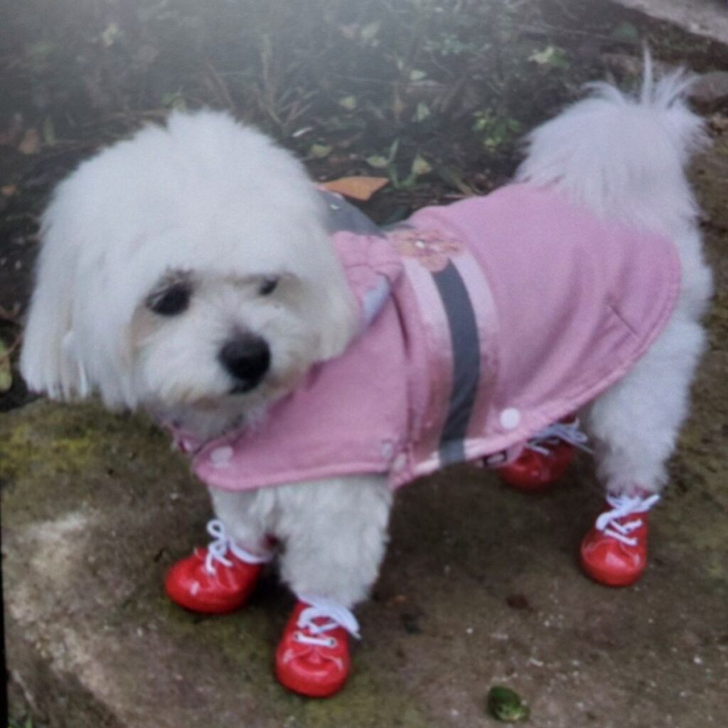 Image #1 from Cimpian Maria