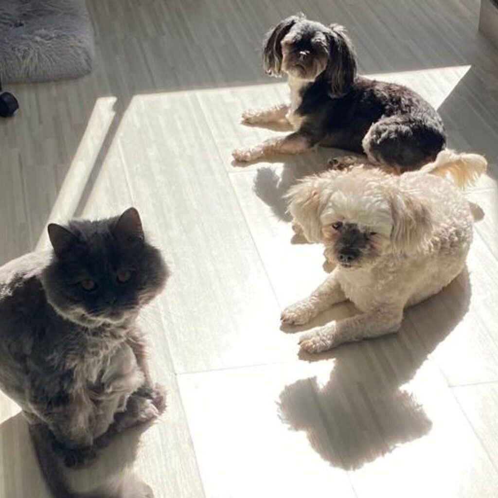 Image #1 from Constantin Simona