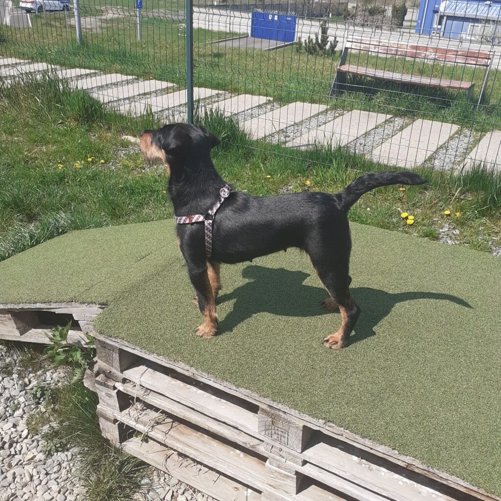 Image #3 from Horatiu B.