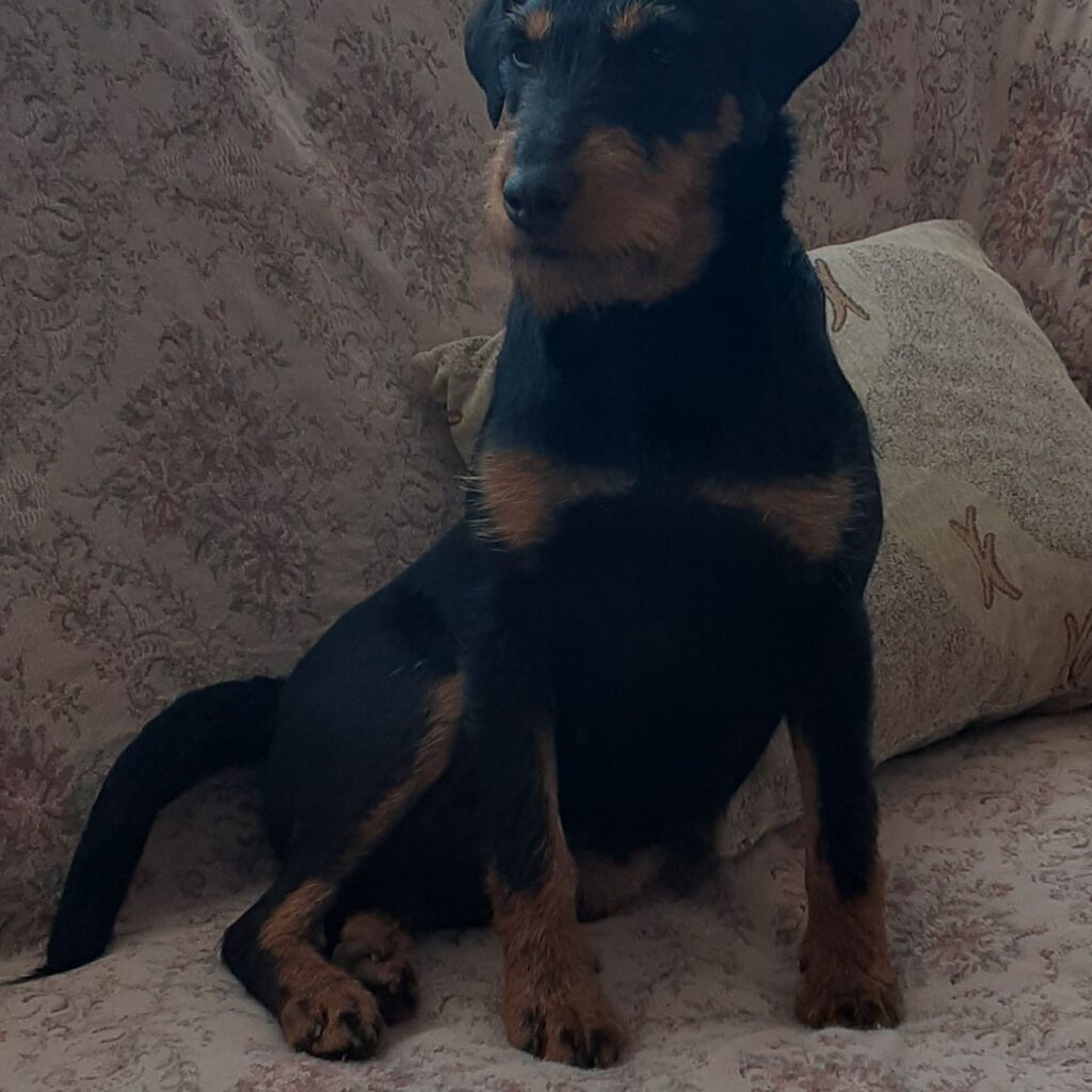 Image #3 from Horatiu B.