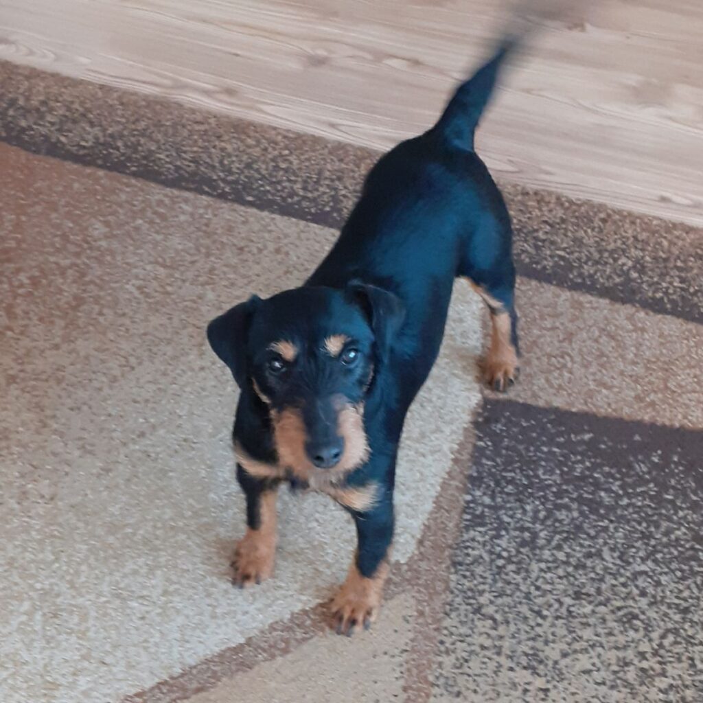 Image #3 from Horatiu B.