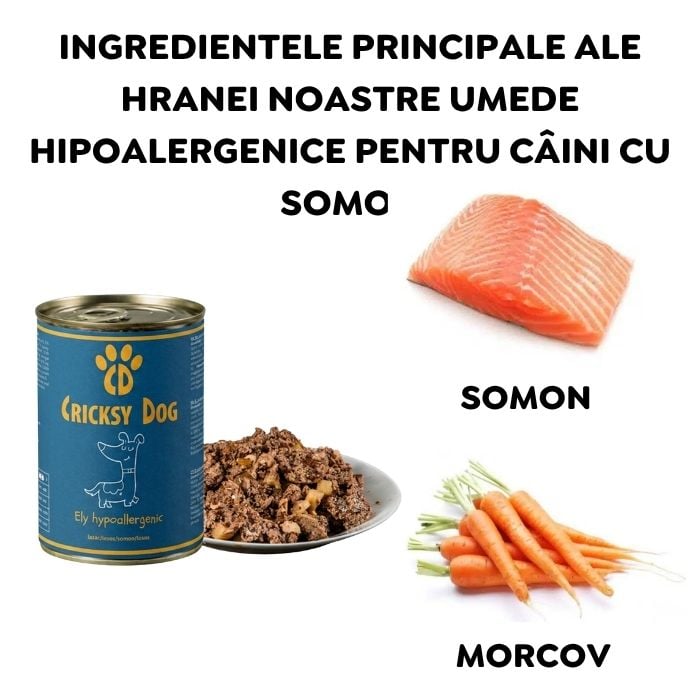 Hrană umedă hipoalergenică Ely cu somon pentru câini (fără gluten de grâu si fără carne de pui, formulă premium) - 410 g 2 Hrană umedă hipoalergenică Ely cu somon pentru câini (fără gluten de grâu si fără carne de pui, formulă premium) - 410 g - imagine 2