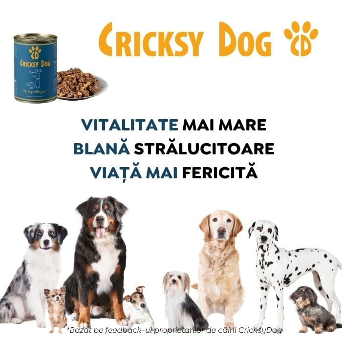 Hrană umedă hipoalergenică Ely cu somon pentru câini (fără gluten de grâu si fără carne de pui, formulă premium) - 410 g 7 Hrană umedă hipoalergenică Ely cu somon pentru câini (fără gluten de grâu si fără carne de pui, formulă premium) - 410 g - imagine 7