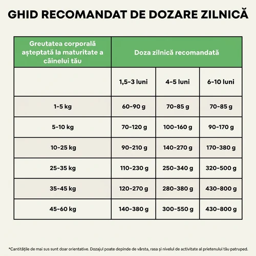Hrană uscată hipoalergenică Chucky cu vită pentru căței 7 Hrană uscată hipoalergenică Chucky cu vită pentru căței - imagine 7