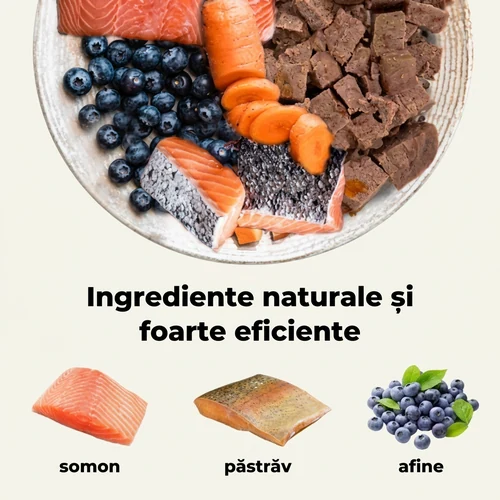 Hrană umedă Bill cu somon și păstrăv pentru pisici – 100 g 2 Hrană umedă Bill cu somon și păstrăv pentru pisici – 100 g - imagine 2