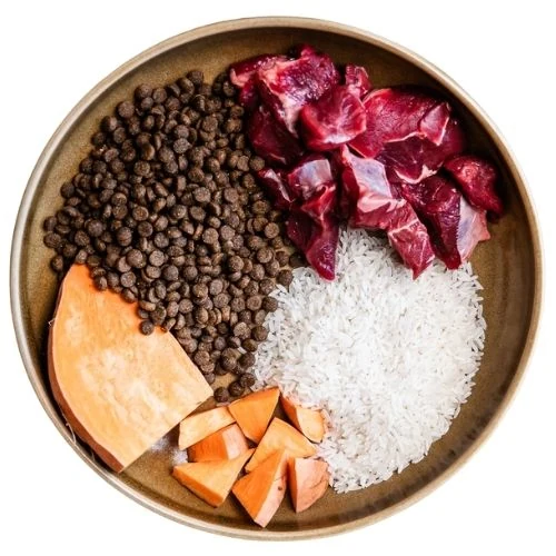 ro 2025 09 CHM dog food