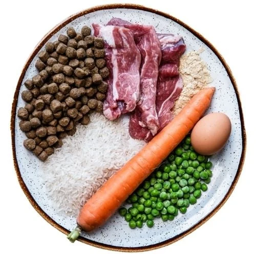 ro 2025 09 JHB dog food