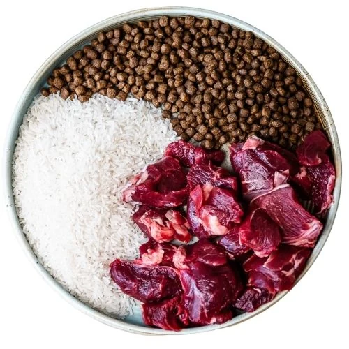 ro 2025 09 JHM dog food