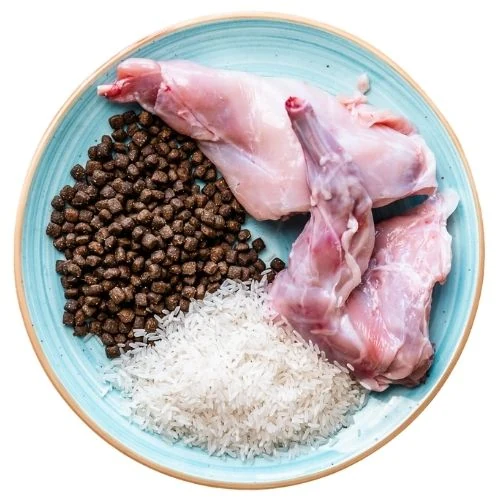 ro 2025 09 JHNY dog food
