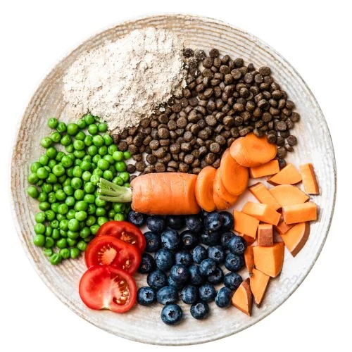 ro 2025 09 JHR dog food