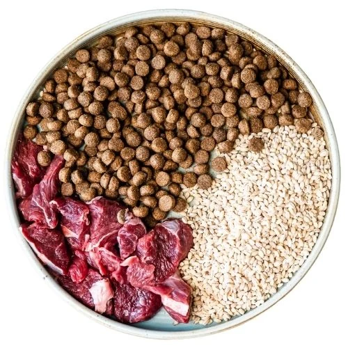 ro 2025 09 JM dog food