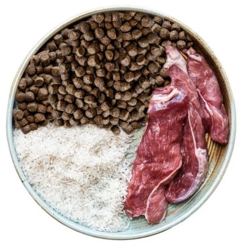 ro 2025 09 OB dog food