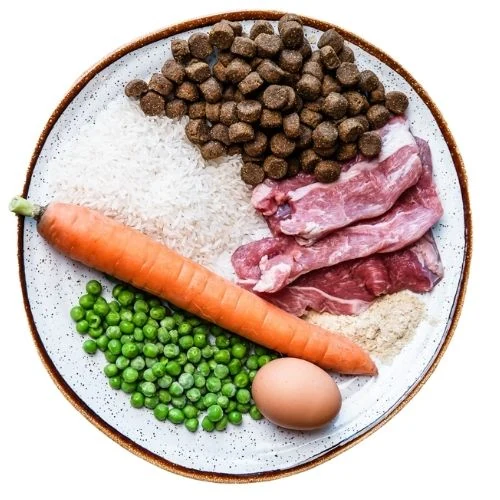 ro 2025 09 THB dog food
