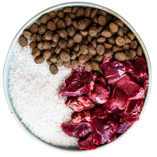 ro 2025 09 THM dog food