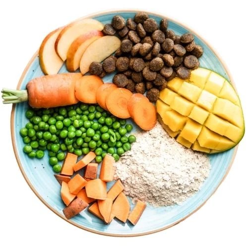 ro 2025 09 THR dog food