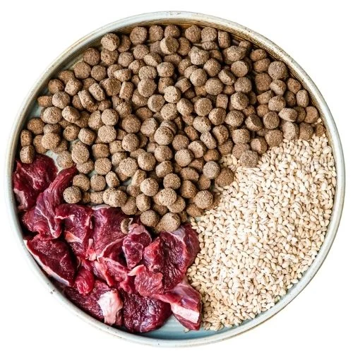 ro 2025 09 TM dog food